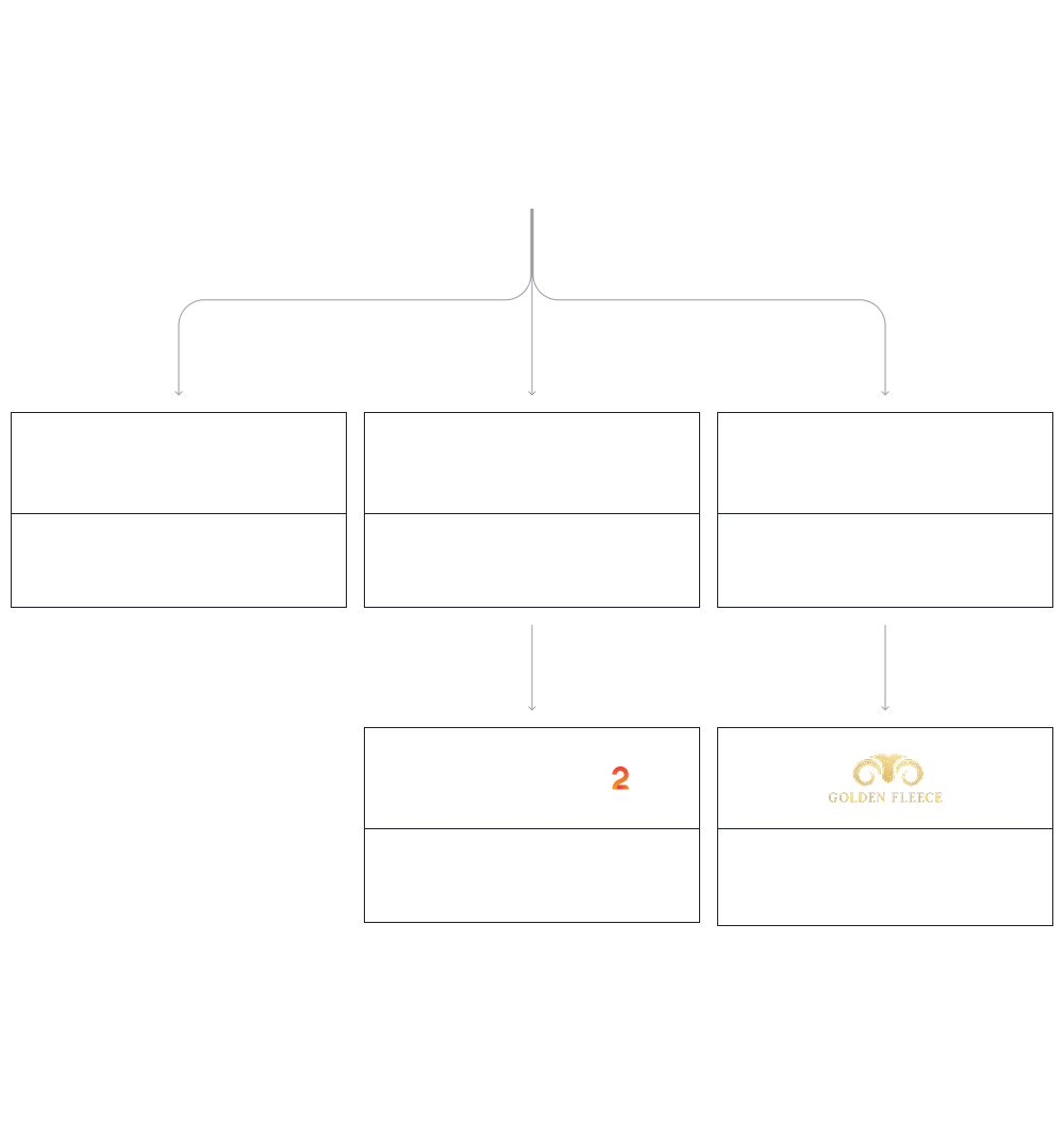 Corporate Structure
